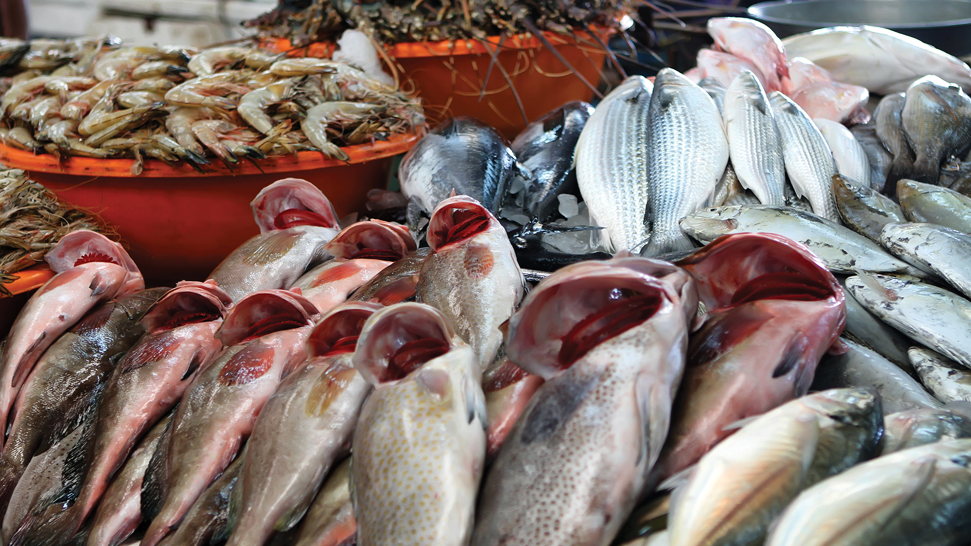 Fresh seafood at a fish market