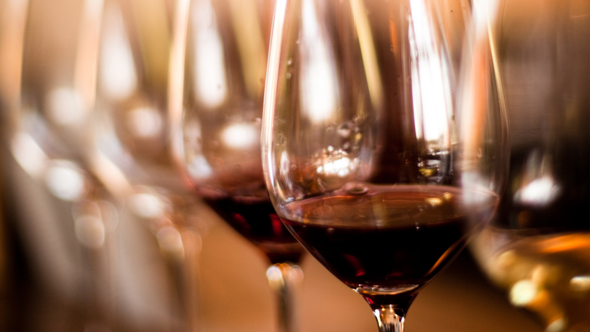 Sample the best from world-class wineries